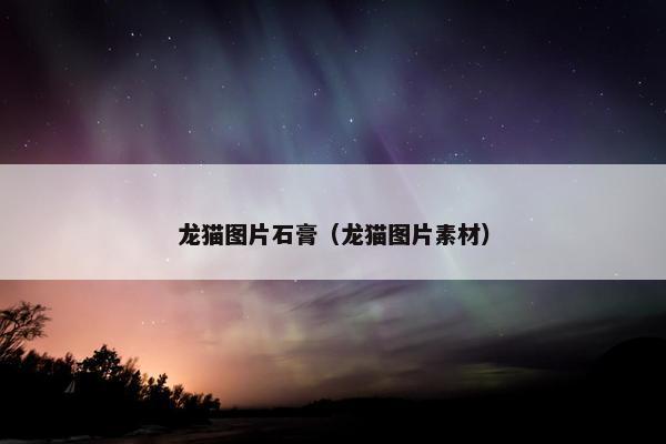 龙猫图片石膏（龙猫图片素材）