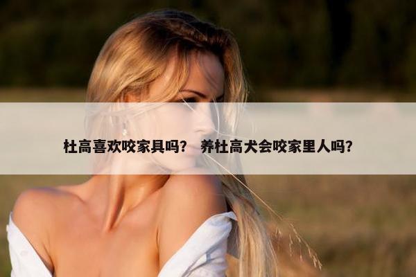 杜高喜欢咬家具吗？ 养杜高犬会咬家里人吗？