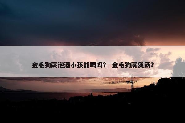 金毛狗蕨泡酒小孩能喝吗？ 金毛狗蕨煲汤？