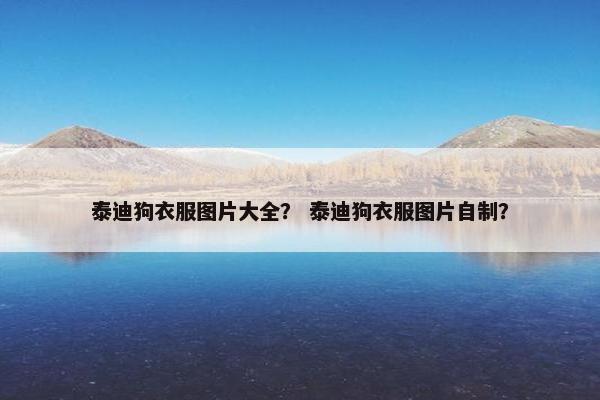 泰迪狗衣服图片大全？ 泰迪狗衣服图片自制？