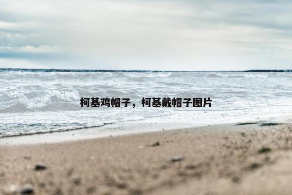 柯基鸡帽子，柯基戴帽子图片