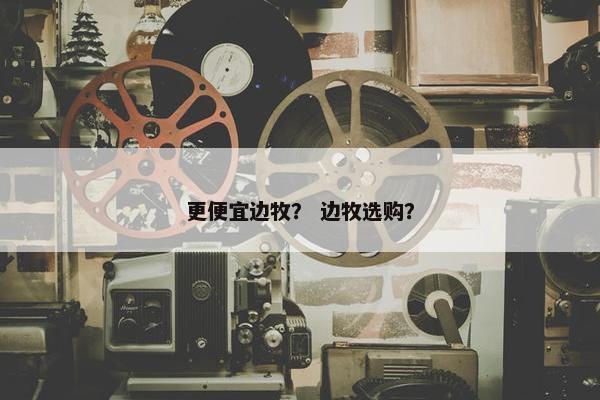 更便宜边牧？ 边牧选购？