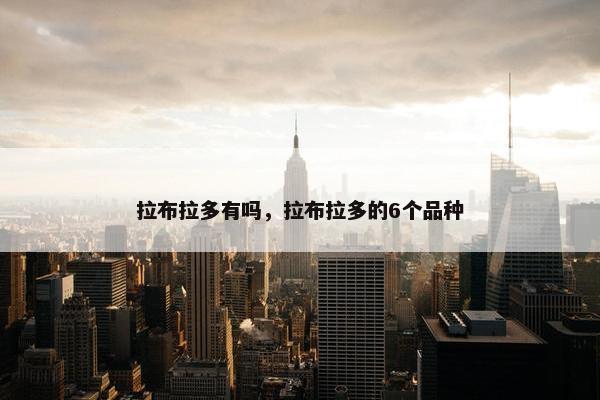 拉布拉多有吗，拉布拉多的6个品种