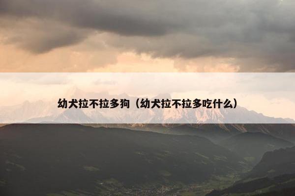 幼犬拉不拉多狗（幼犬拉不拉多吃什么）