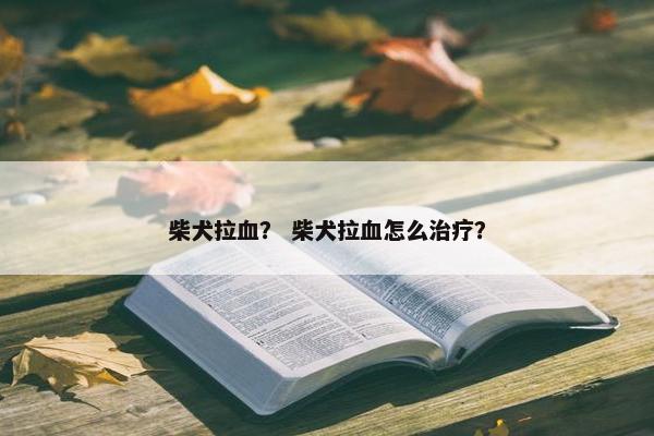 柴犬拉血？ 柴犬拉血怎么治疗？