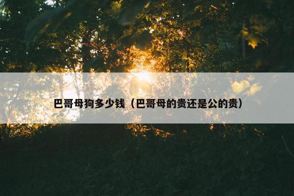巴哥母狗多少钱（巴哥母的贵还是公的贵）