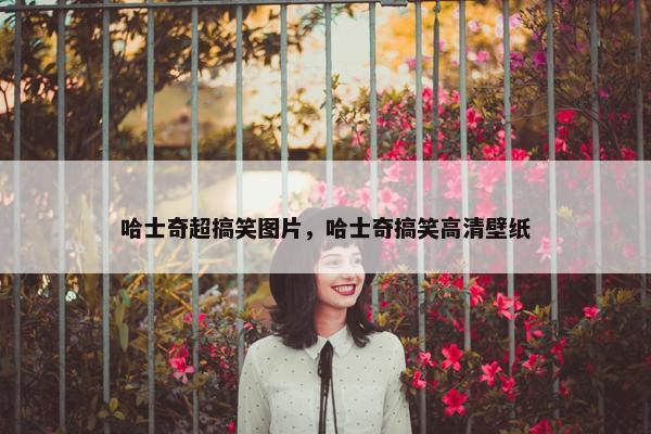 哈士奇超搞笑图片，哈士奇搞笑高清壁纸