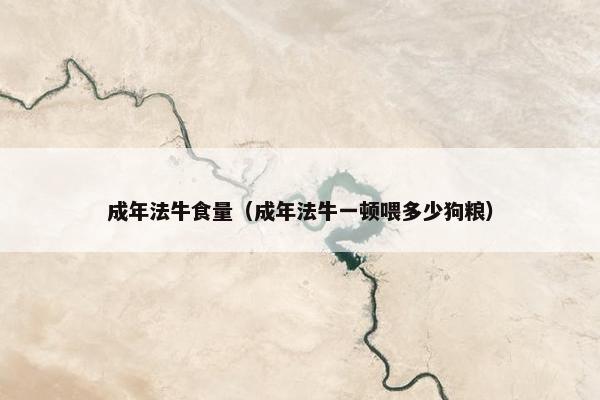 成年法牛食量（成年法牛一顿喂多少狗粮）