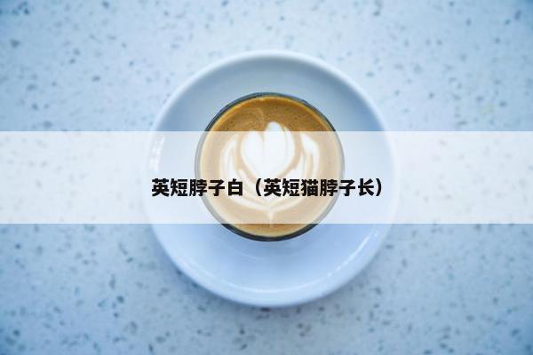 英短脖子白（英短猫脖子长）