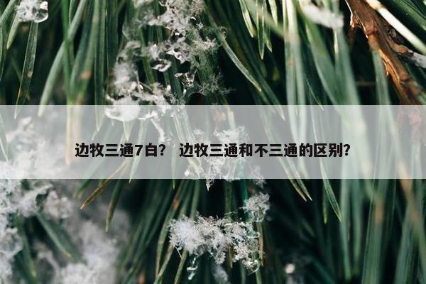 边牧三通7白？ 边牧三通和不三通的区别？