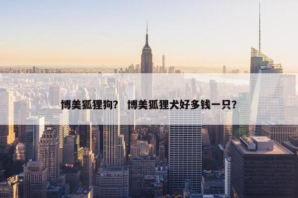 博美狐狸狗？ 博美狐狸犬好多钱一只？