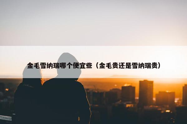 金毛雪纳瑞哪个便宜些（金毛贵还是雪纳瑞贵）