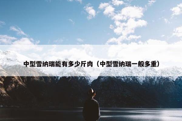 中型雪纳瑞能有多少斤肉（中型雪纳瑞一般多重）