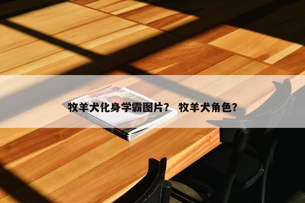 牧羊犬化身学霸图片？ 牧羊犬角色？