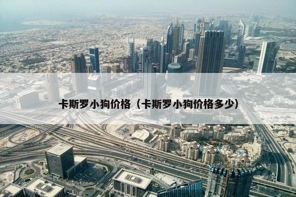 卡斯罗小狗价格（卡斯罗小狗价格多少）