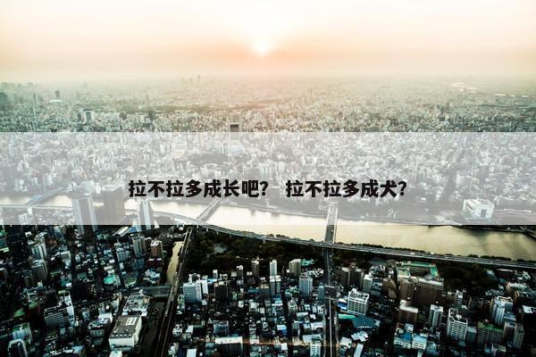 拉不拉多成长吧？ 拉不拉多成犬？