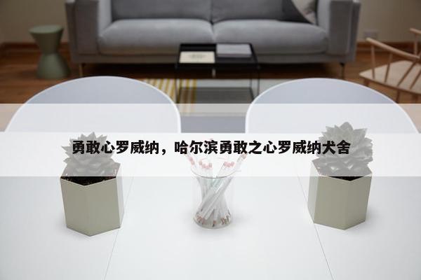 勇敢心罗威纳，哈尔滨勇敢之心罗威纳犬舍