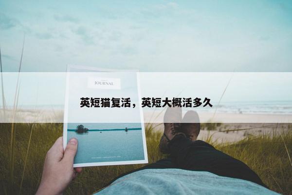 英短猫复活，英短大概活多久