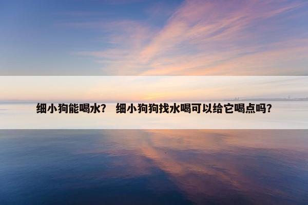 细小狗能喝水？ 细小狗狗找水喝可以给它喝点吗？