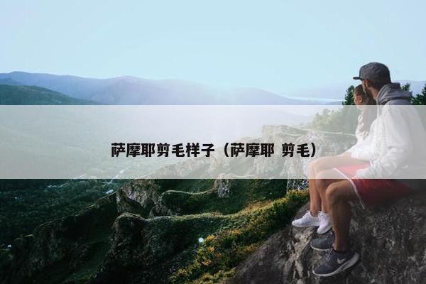 萨摩耶剪毛样子（萨摩耶 剪毛）