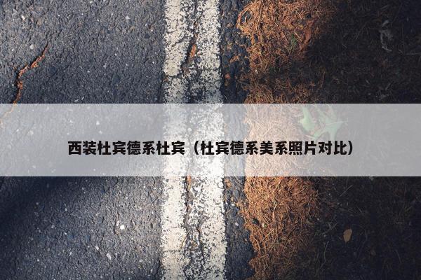 西装杜宾德系杜宾（杜宾德系美系照片对比）