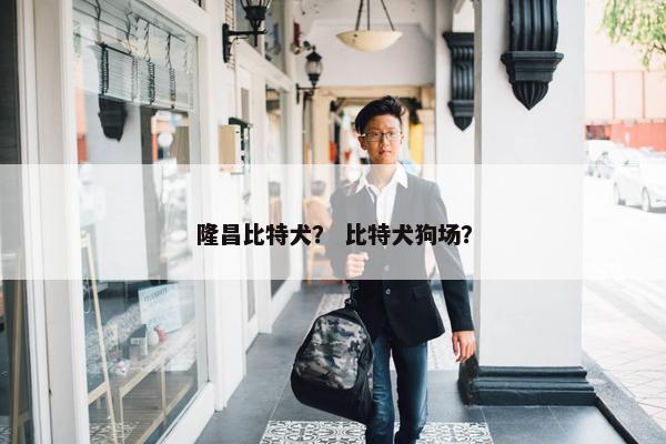 隆昌比特犬？ 比特犬狗场？