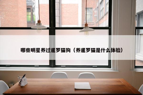 哪些明星养过暹罗猫狗（养暹罗猫是什么体验）