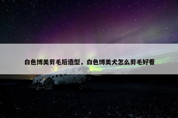 白色博美剪毛后造型，白色博美犬怎么剪毛好看