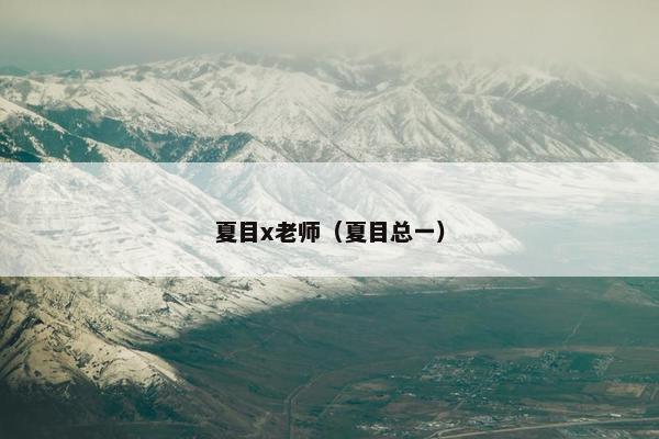 夏目x老师（夏目总一）