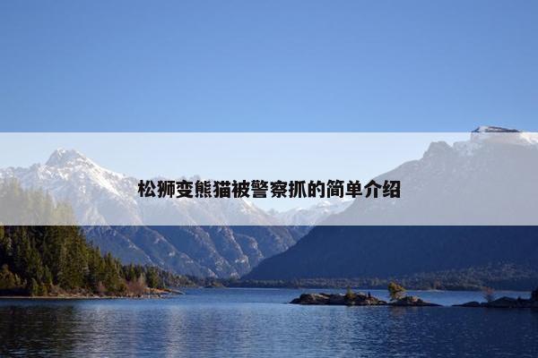 松狮变熊猫被警察抓的简单介绍