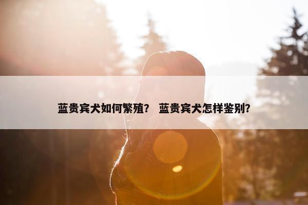 蓝贵宾犬如何繁殖？ 蓝贵宾犬怎样鉴别？