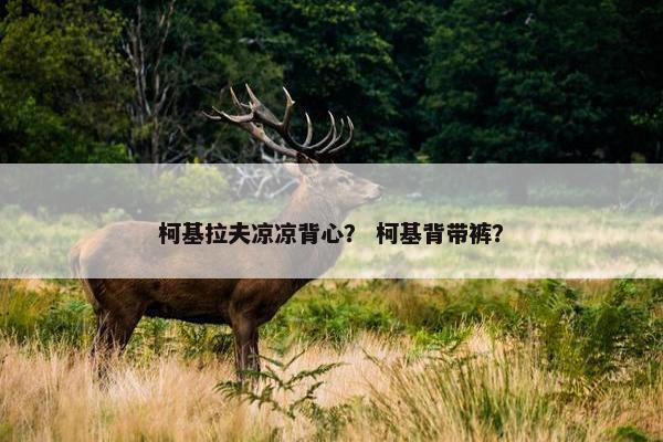 柯基拉夫凉凉背心？ 柯基背带裤？