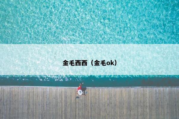 金毛西西（金毛ok）