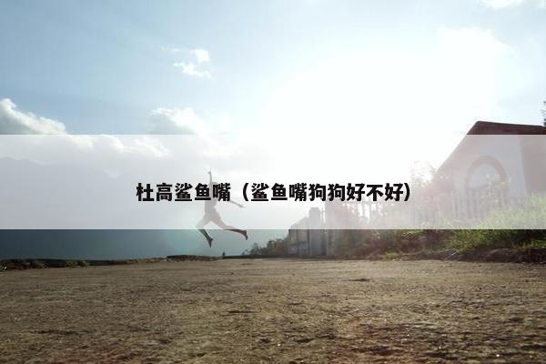 杜高鲨鱼嘴（鲨鱼嘴狗狗好不好）