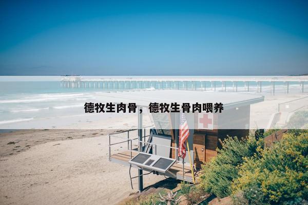 德牧生肉骨，德牧生骨肉喂养