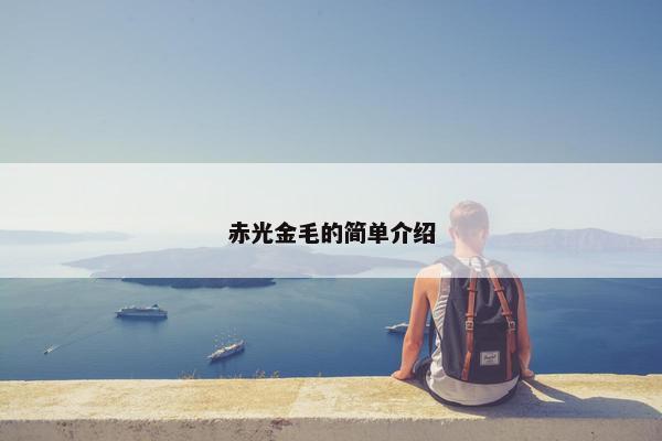 赤光金毛的简单介绍