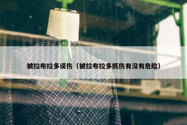 被拉布拉多误伤（被拉布拉多抓伤有没有危险）