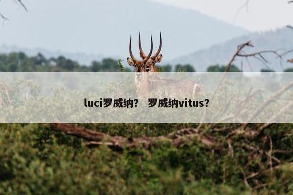 luci罗威纳？ 罗威纳vitus？