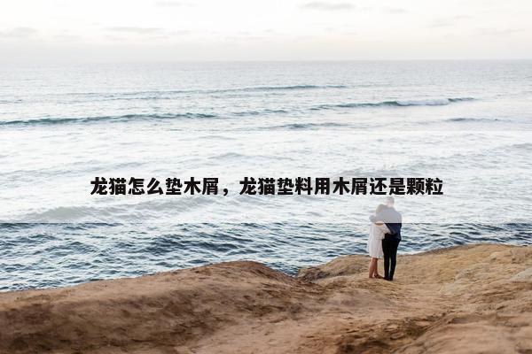 龙猫怎么垫木屑，龙猫垫料用木屑还是颗粒
