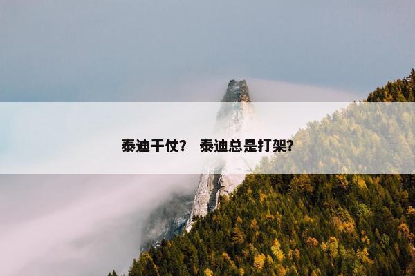 泰迪干仗？ 泰迪总是打架？