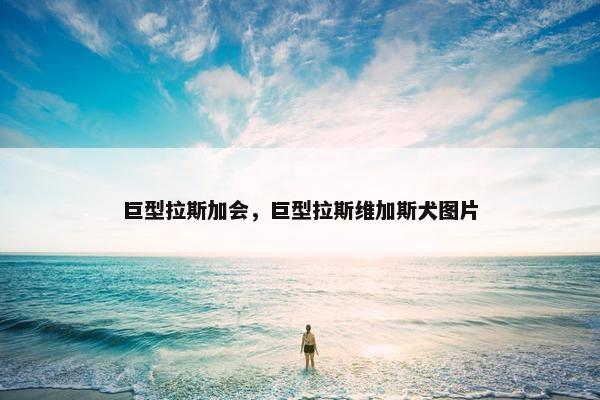 巨型拉斯加会，巨型拉斯维加斯犬图片