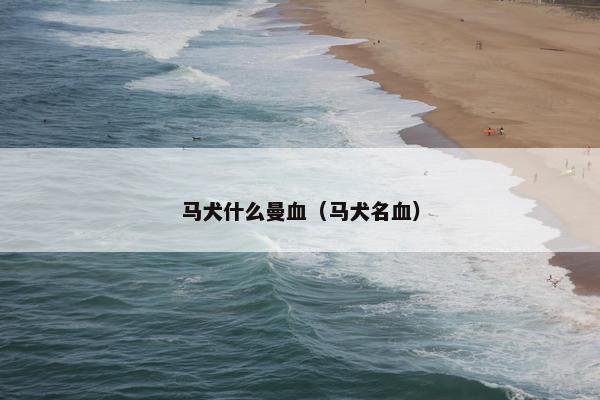 马犬什么曼血（马犬名血）