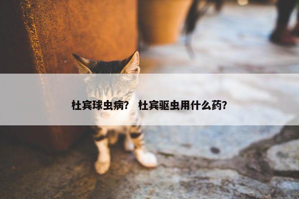 杜宾球虫病？ 杜宾驱虫用什么药？