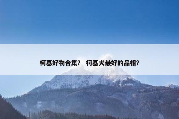柯基好物合集？ 柯基犬最好的品相？