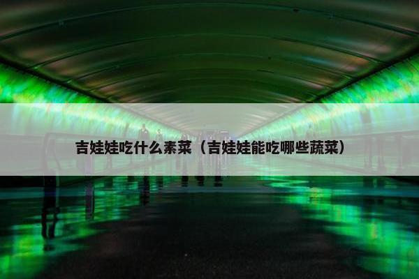 吉娃娃吃什么素菜（吉娃娃能吃哪些蔬菜）