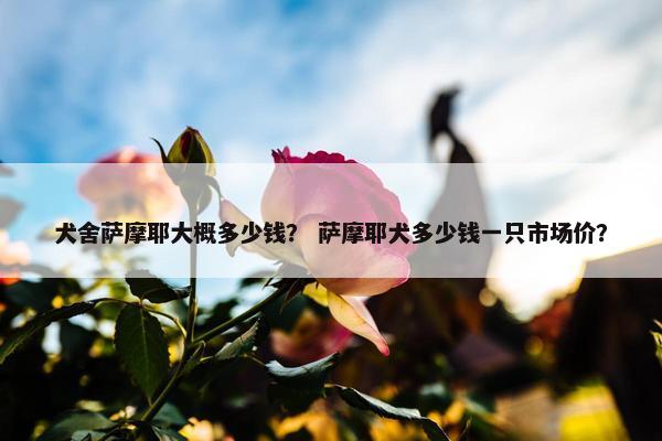 犬舍萨摩耶大概多少钱？ 萨摩耶犬多少钱一只市场价？