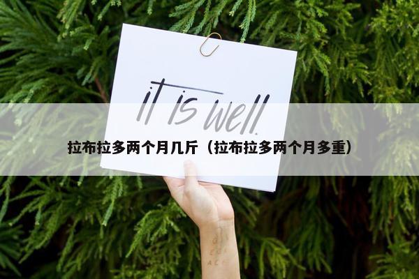 拉布拉多两个月几斤（拉布拉多两个月多重）