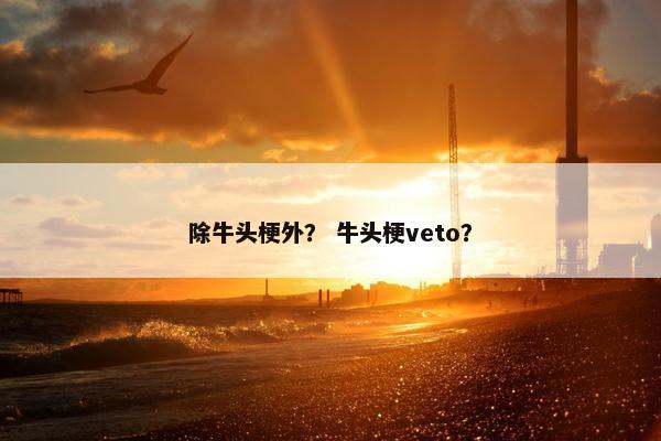 除牛头梗外？ 牛头梗veto？