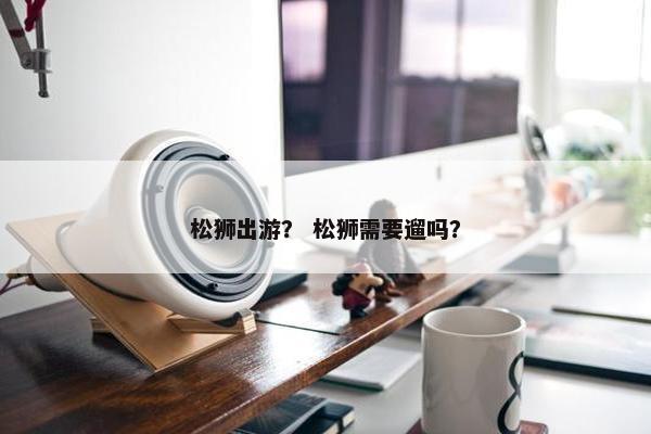松狮出游？ 松狮需要遛吗？