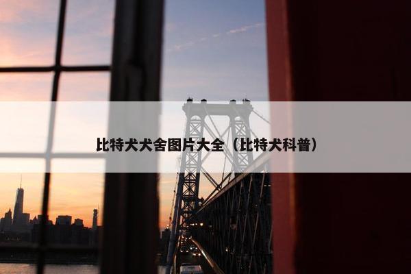 比特犬犬舍图片大全（比特犬科普）